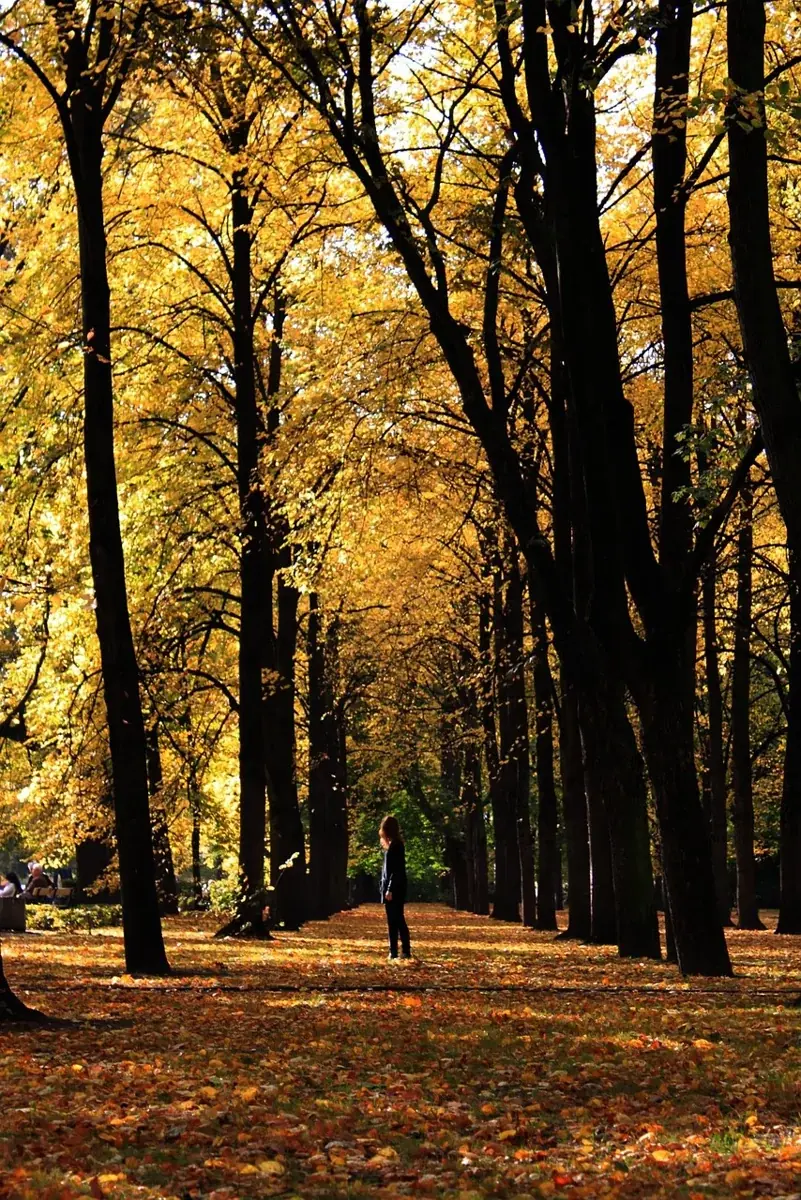 An autumn walk in a Warsaw park