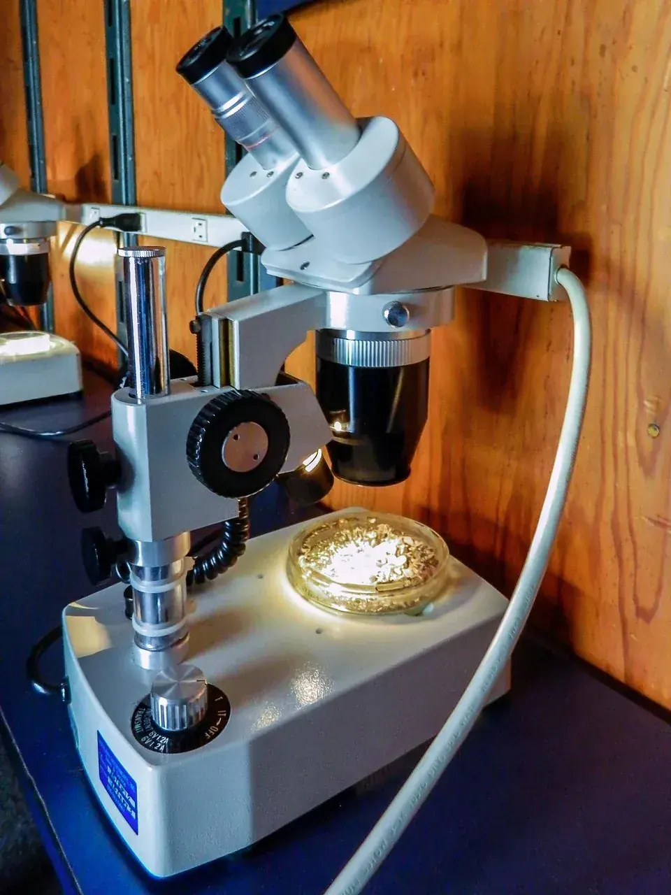 A microscope in a laboratory